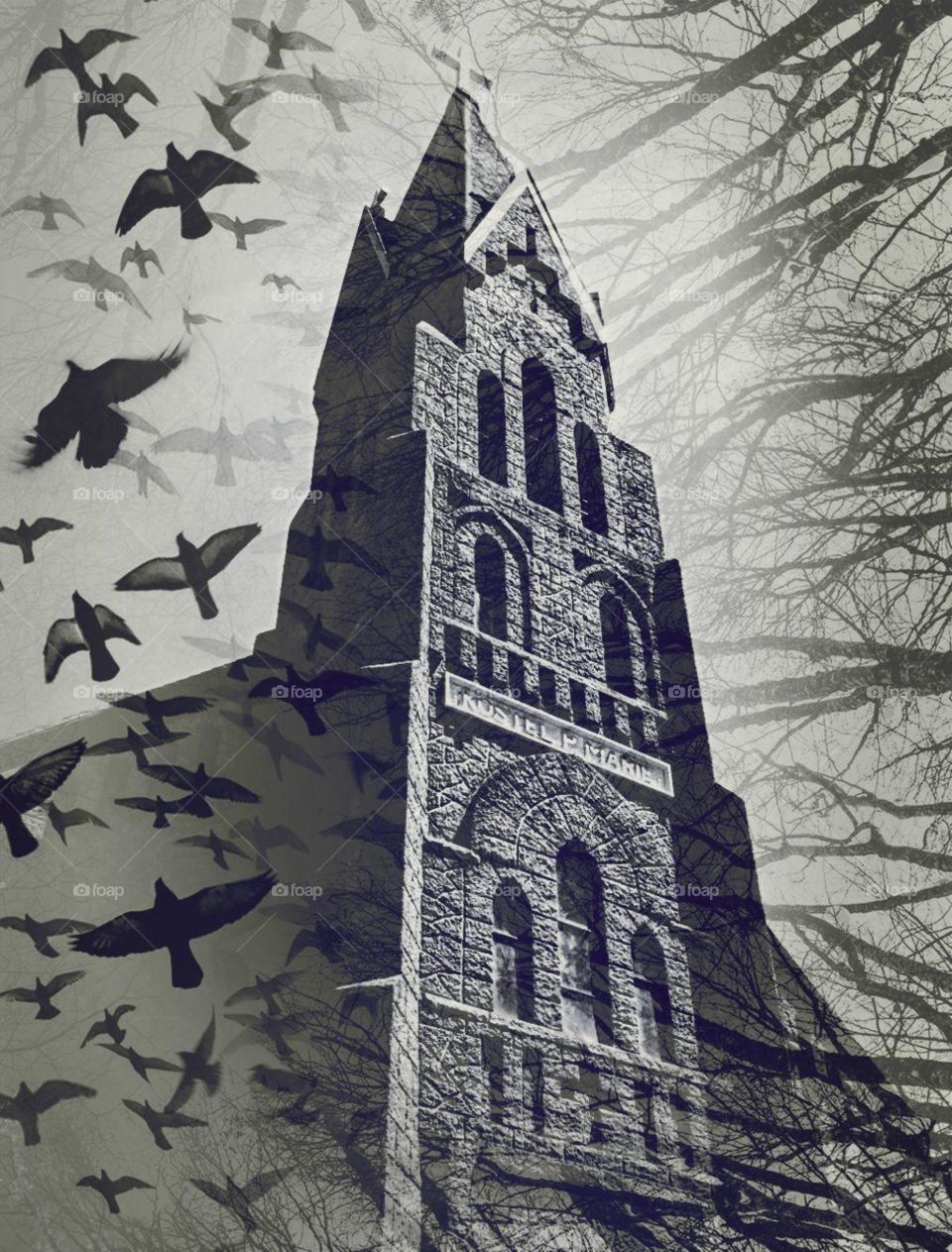 saint Mary's Catholic church antigo Wisconsin black and white image with birds and trees layer