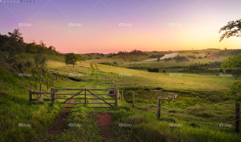 Landscape, No Person, Grass, Nature, Fence