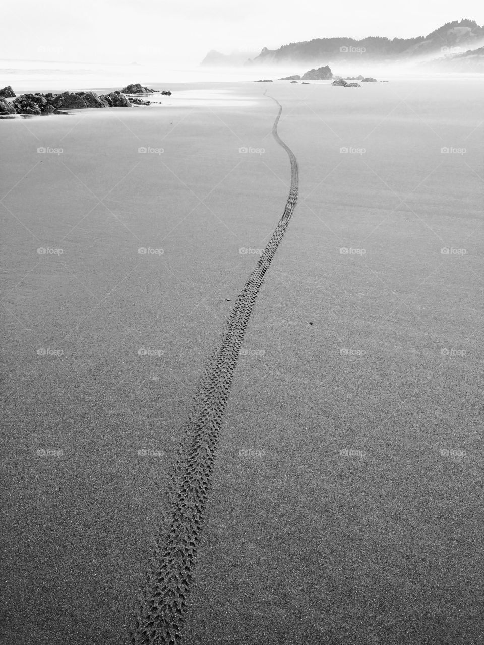 bicycle ride on the beach