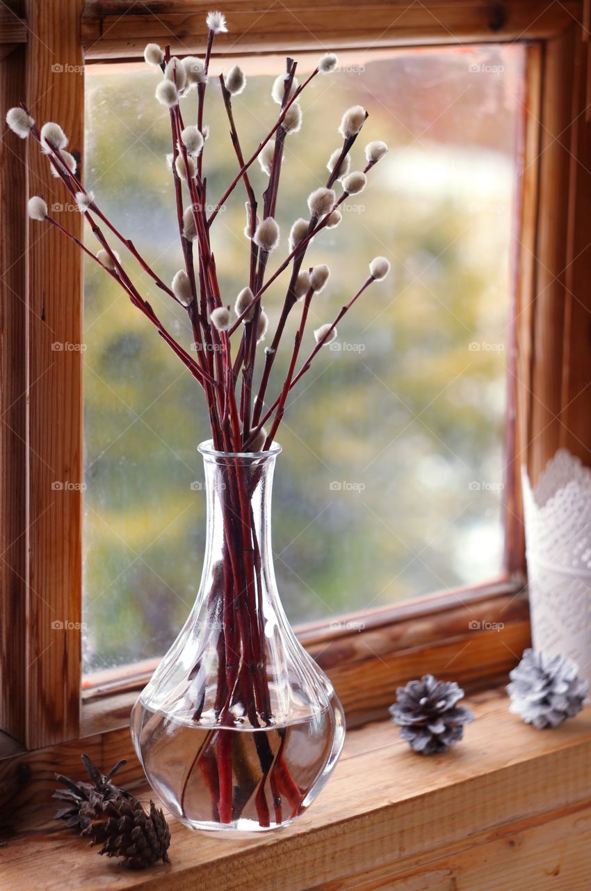 willow branches in a vase