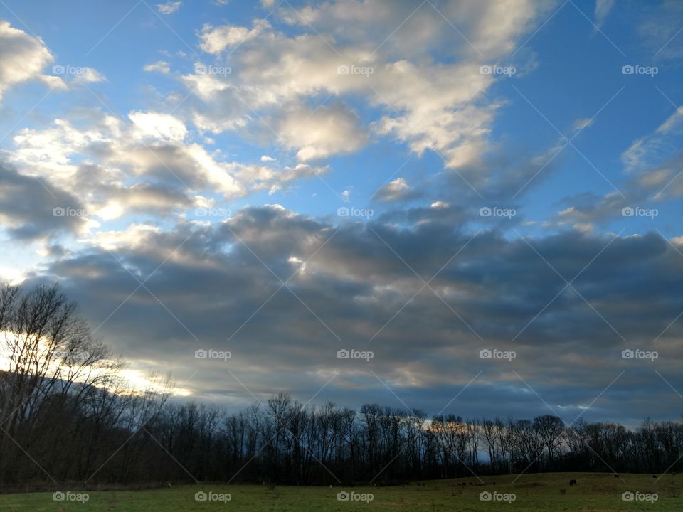 softy fleecy clouds envelope the day