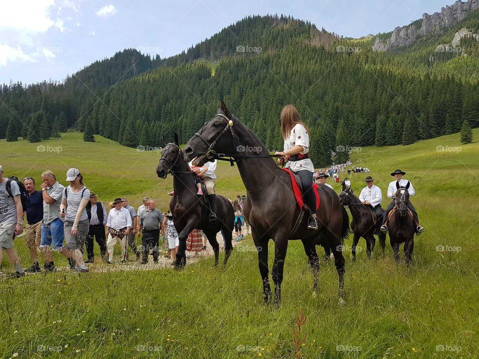 People, Recreation, Cavalry, Competition, Group