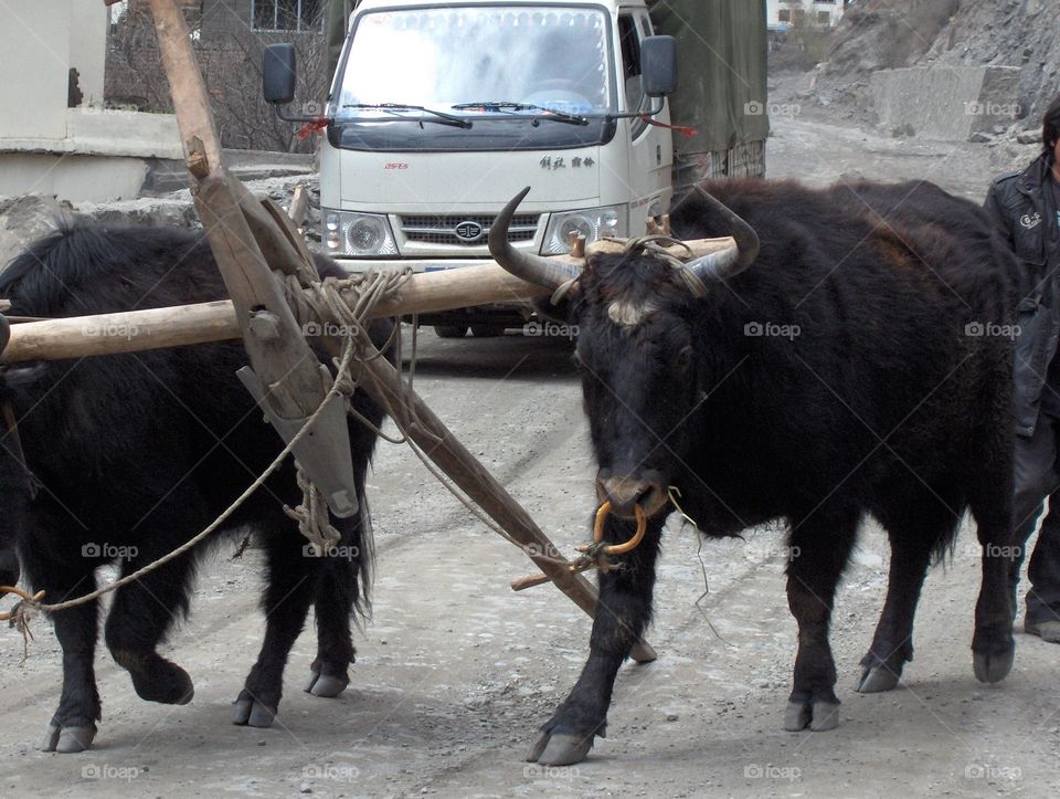 Sichuan China 