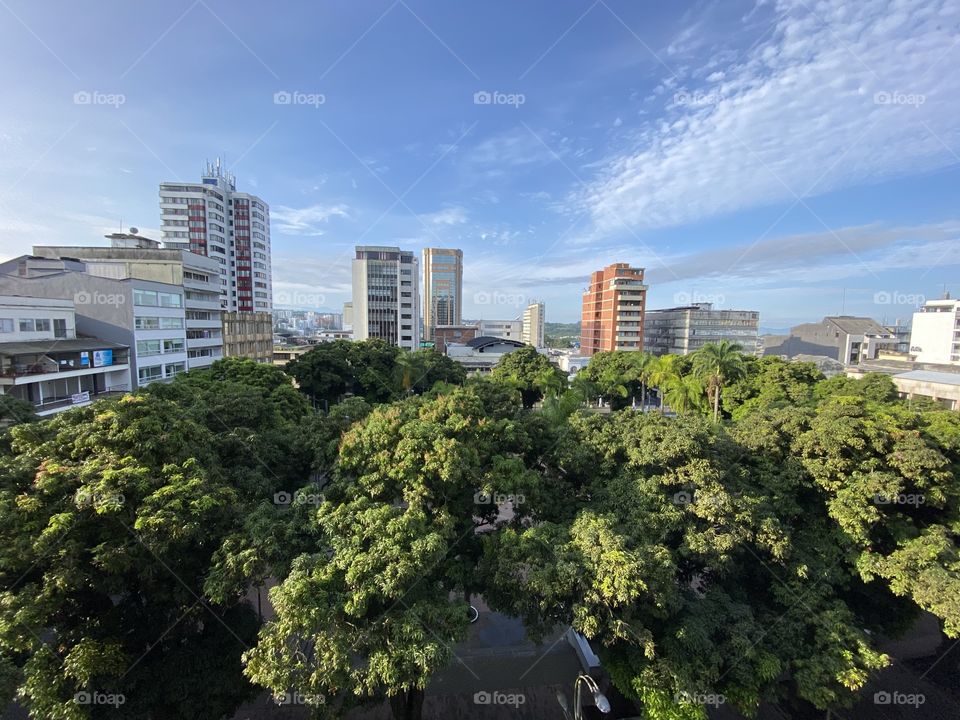 Ciudad y arboles - city and trees