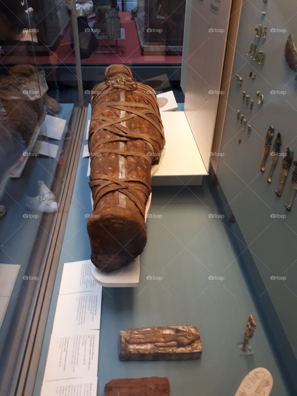 Egyptian Mummy