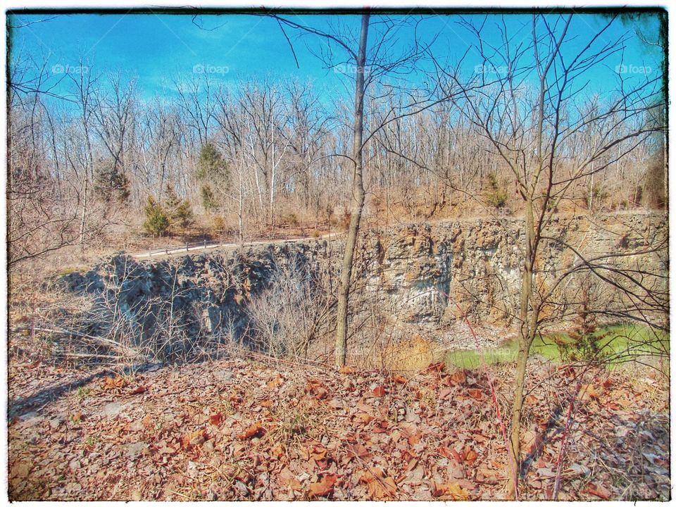 Nature, Tree, Landscape, Fall, No Person