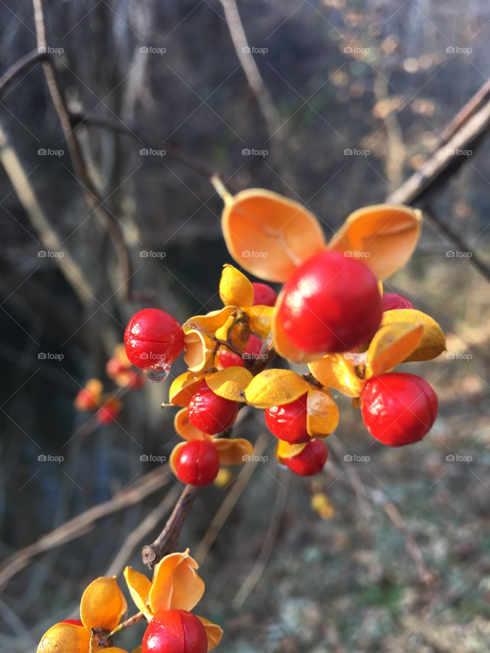 Mid afternoon moisture 