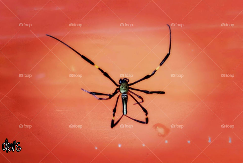 Laws are like cobwebs, which may catch small flies, but let wasps and hornets break through

-- Jonathan Swift