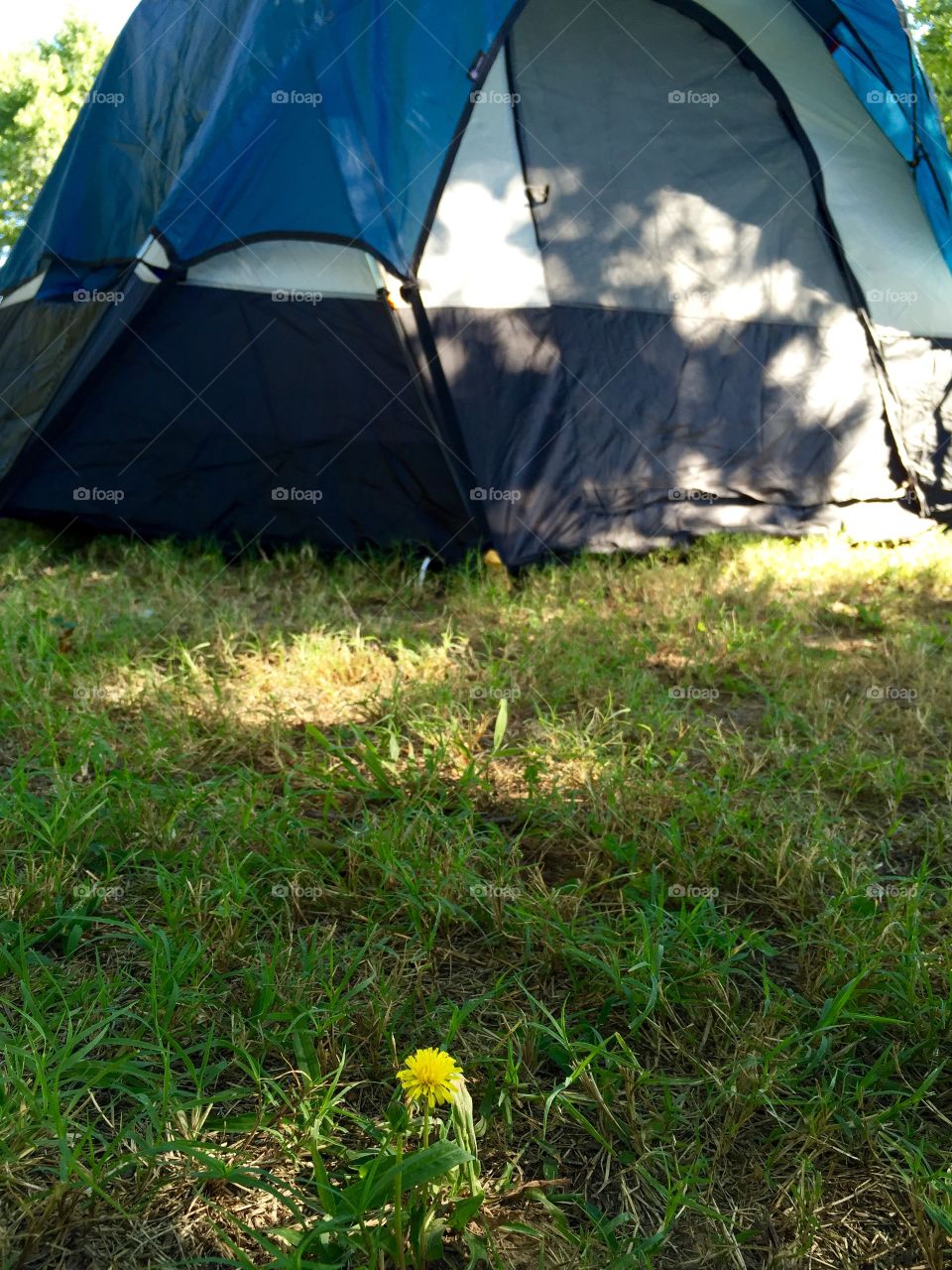 Camping in Harrison, Arkansas