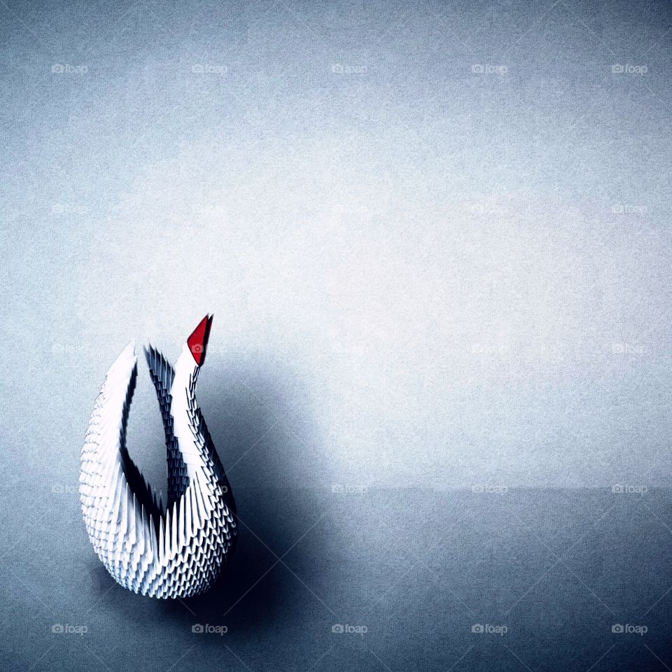 Paper folding swan