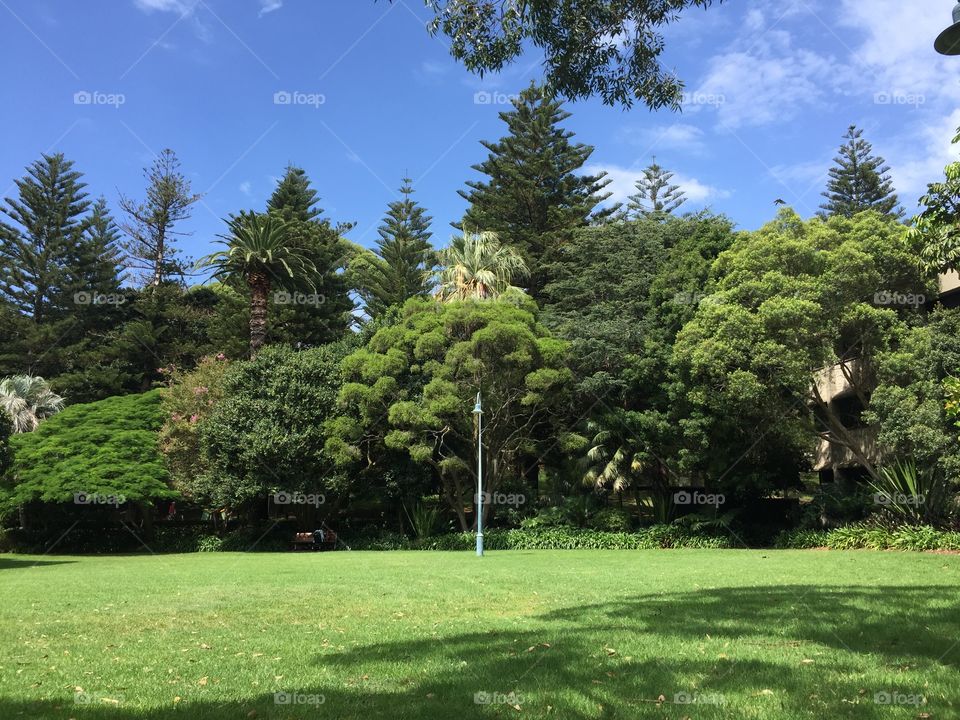 Bondi park in Sydney