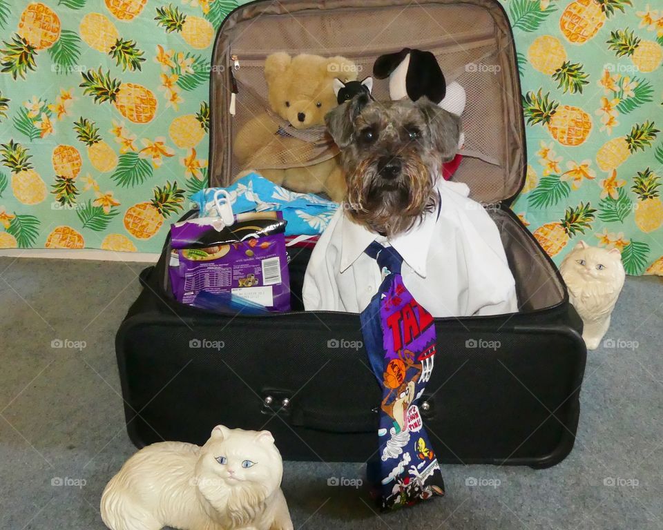 “I mean, I guess you can leave - but the suitcase is staying with me." Billy sits in the suitcase all dressed and ready to go