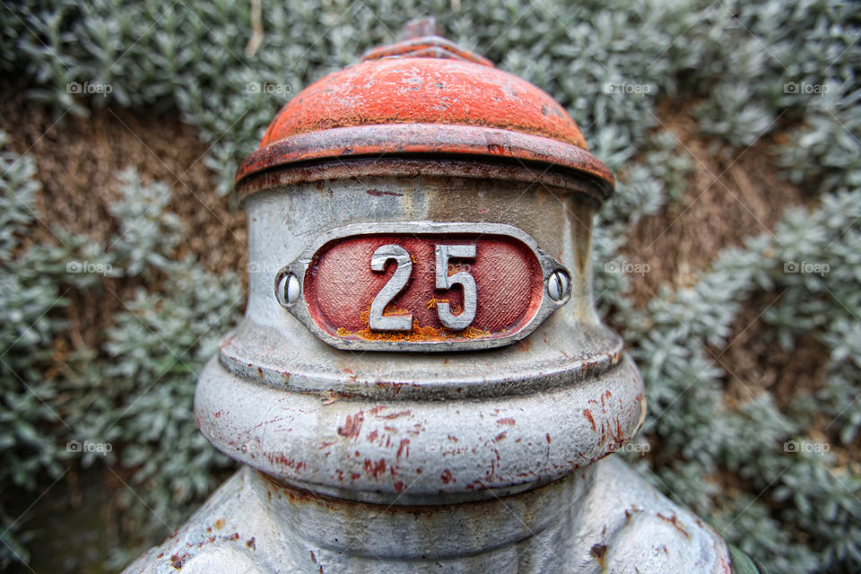 old fire hydrant number 25  #25 red and gray
