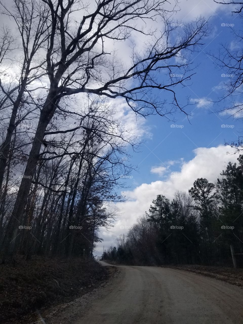 Dirt roads in the early spring