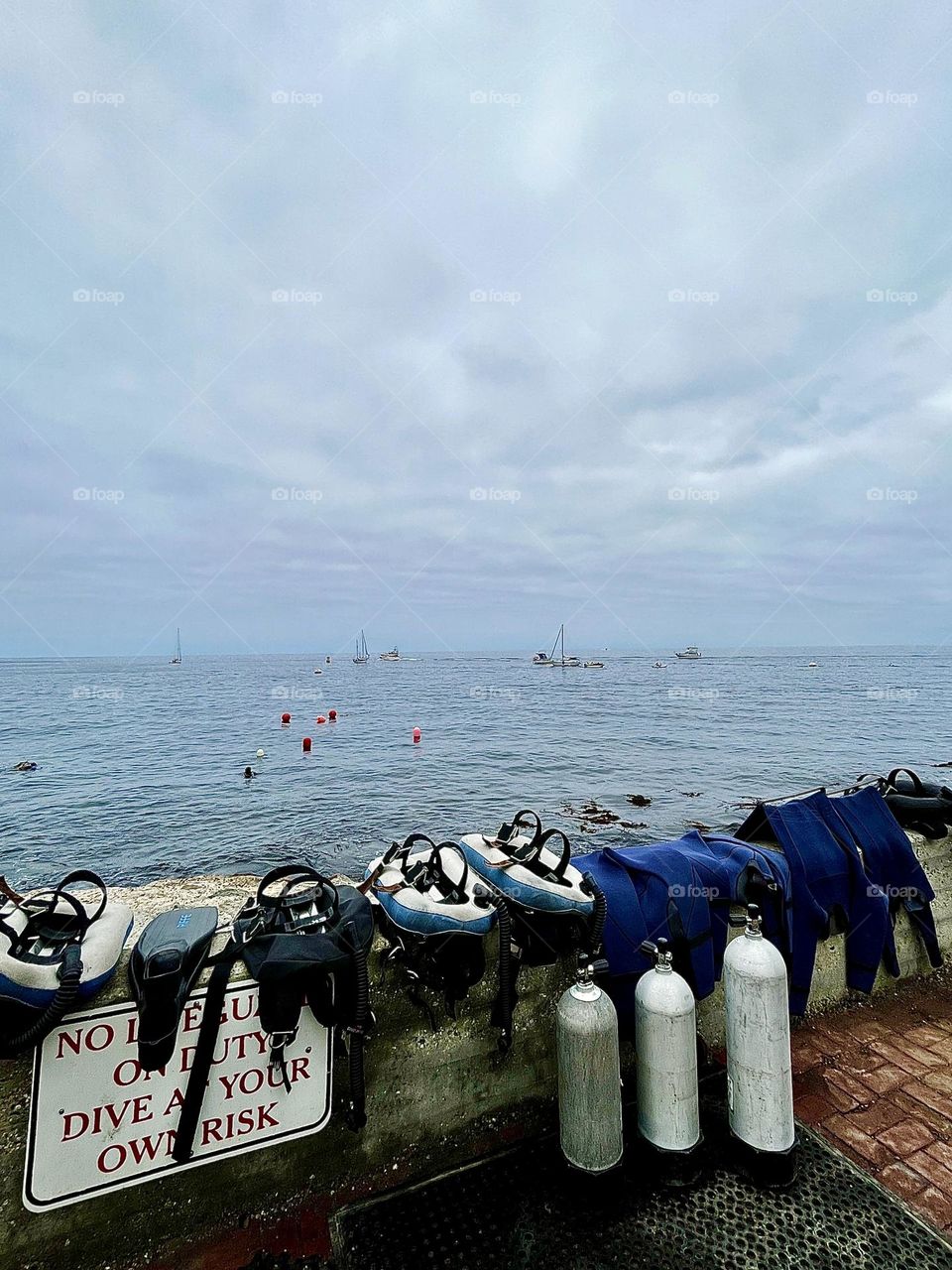 Scuba Diving in the Summer