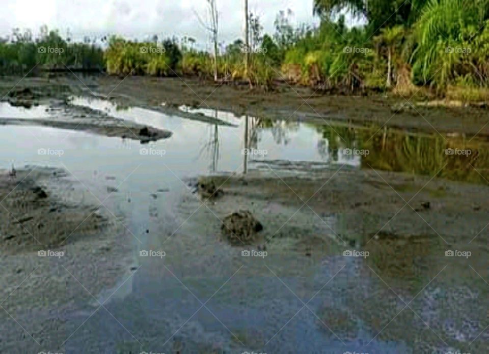 Crude Oil spillage in the Niger Delta of Nigeria