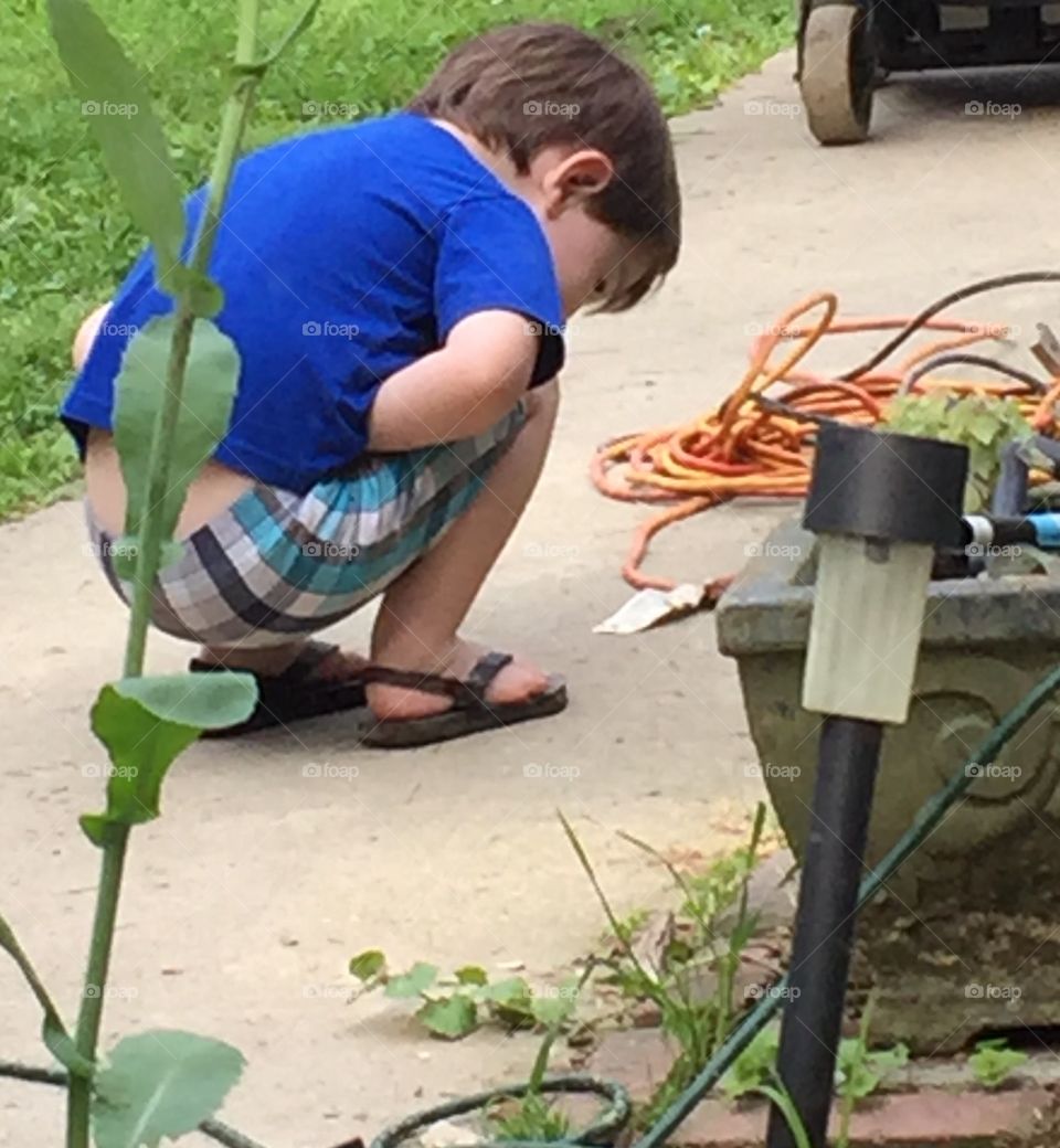 Rear view of boy crouching in garden