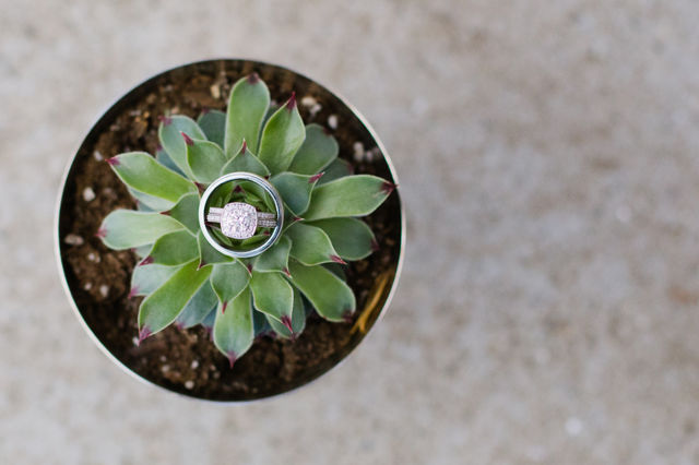 Wedding ring on top of succulents