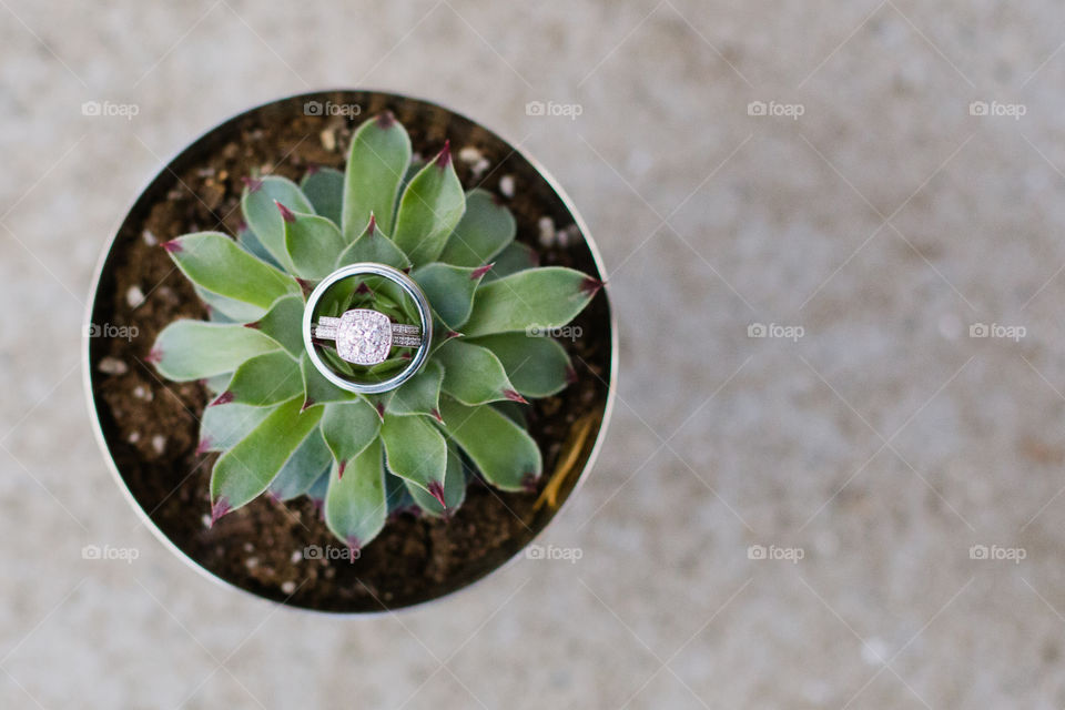 Wedding ring on top of succulents