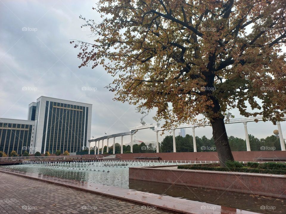 Autumn in Tashkent