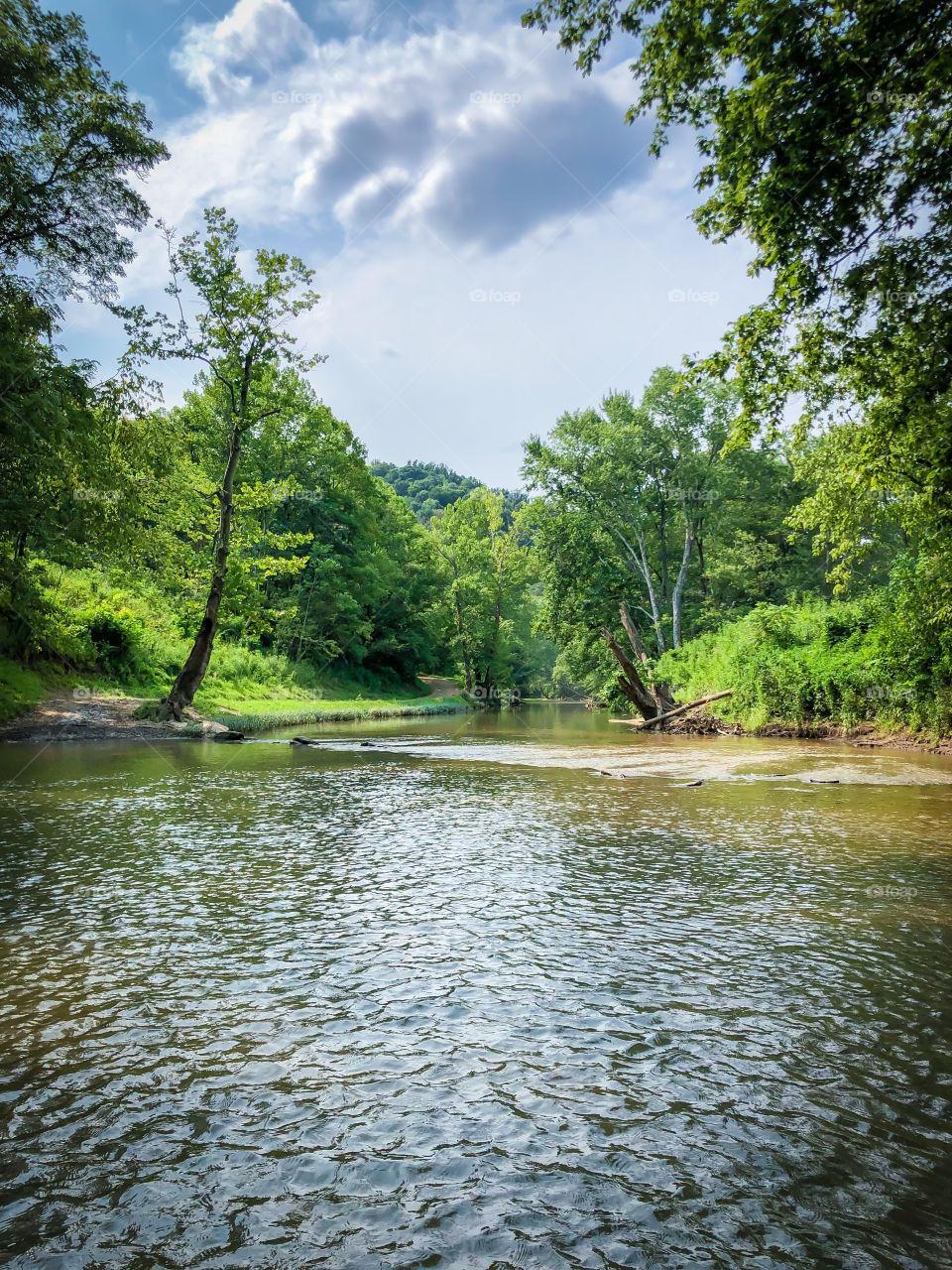 The creek of life