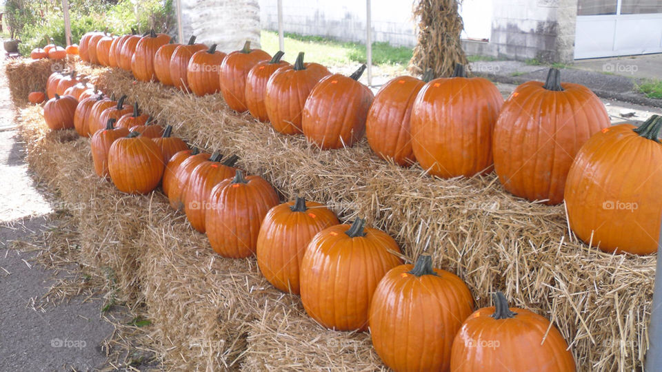 october fall autumn farm by vickikl3