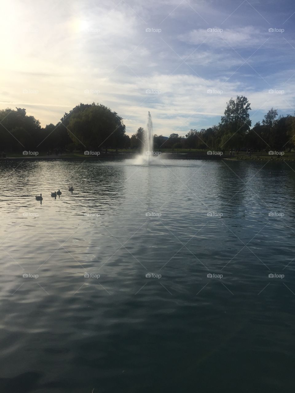 Relaxing at the park 