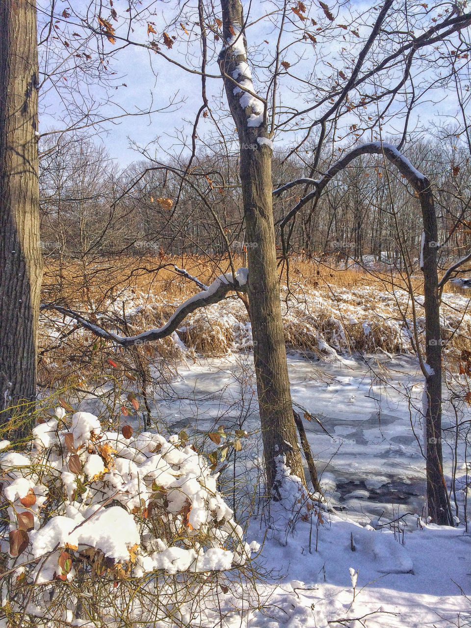 Indian River after the snow storm 