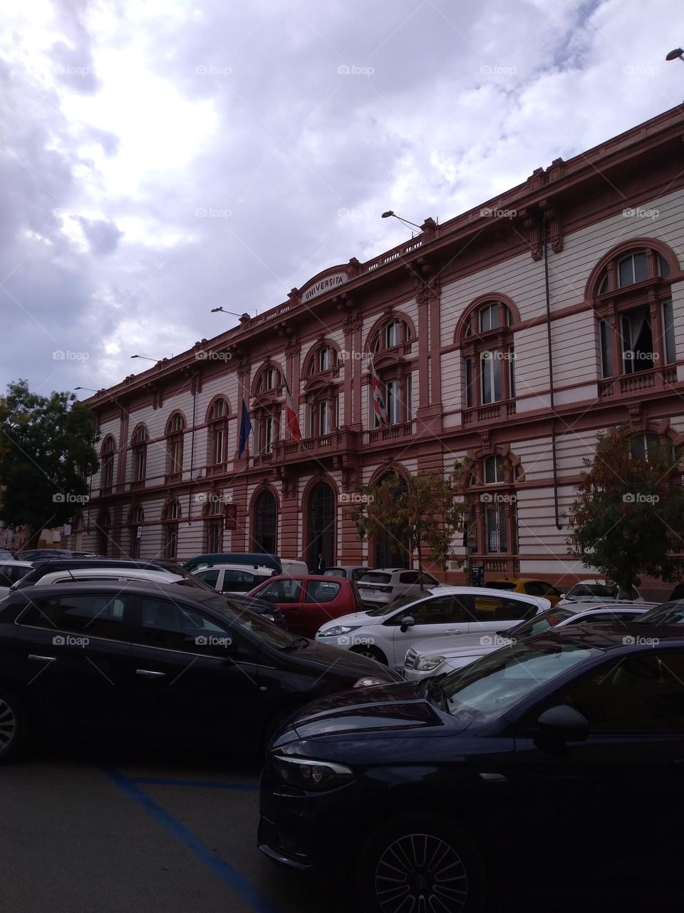 Editors' Choice: Photo of the Week