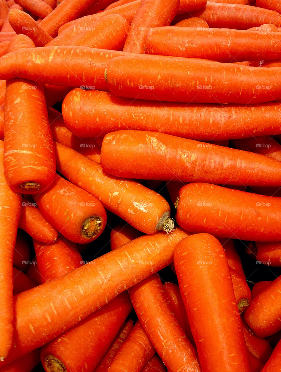Carrots in a basket