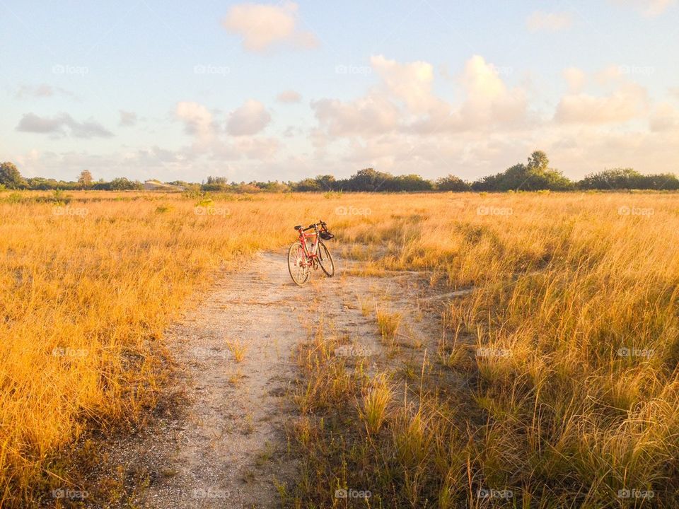 Bike ride