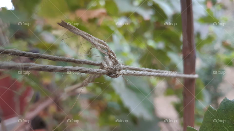 Knot on the rope
