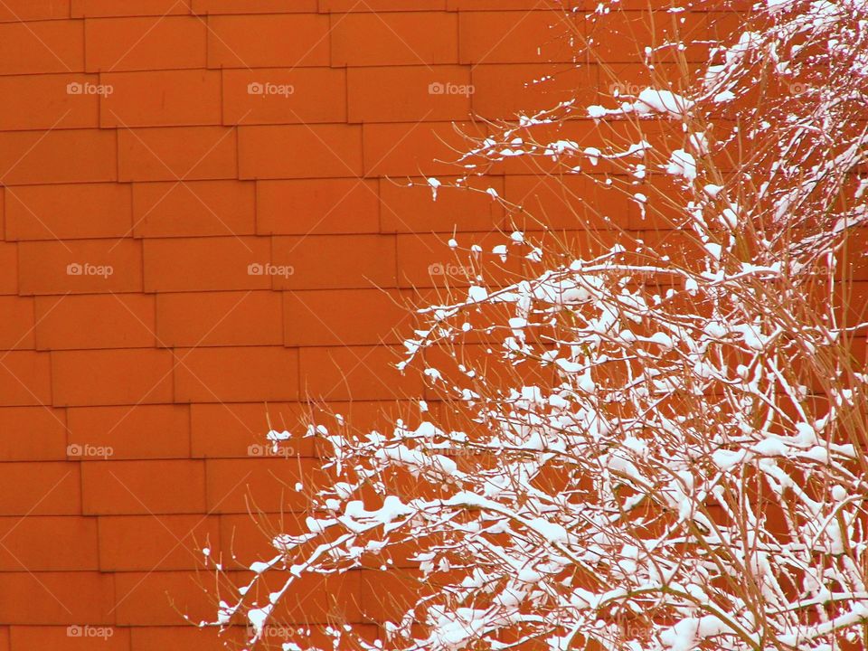 tile and beautiful color and Snow White