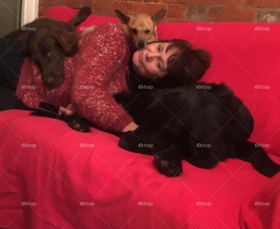 Woman lying down gets three dogs joining her. Red sofa. Brick wall. 