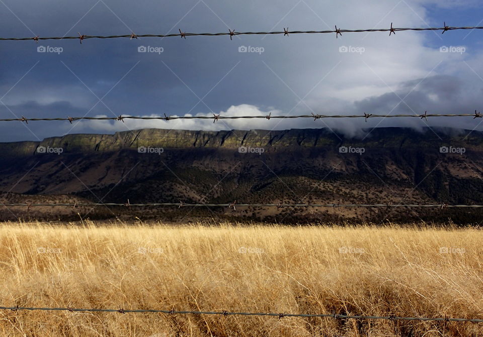 Barbed wire on field against sky