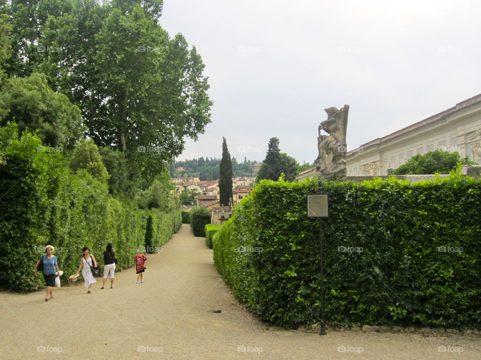 Garden, Tree, Architecture, Travel, Summer