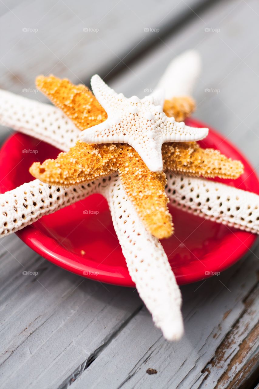 Three sea stars stacked on red plate