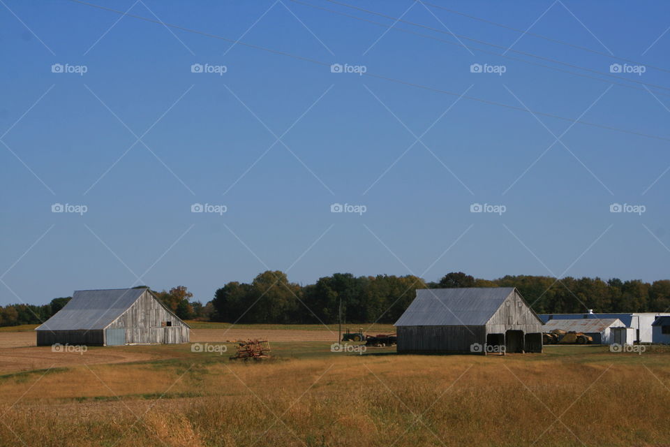 Rural Landscape 