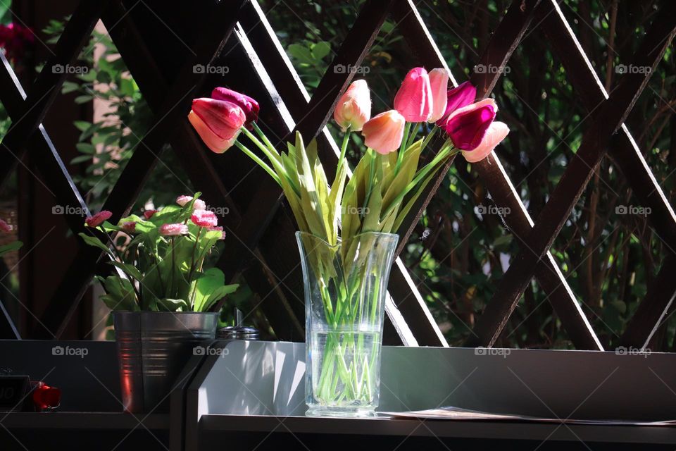 Tulips