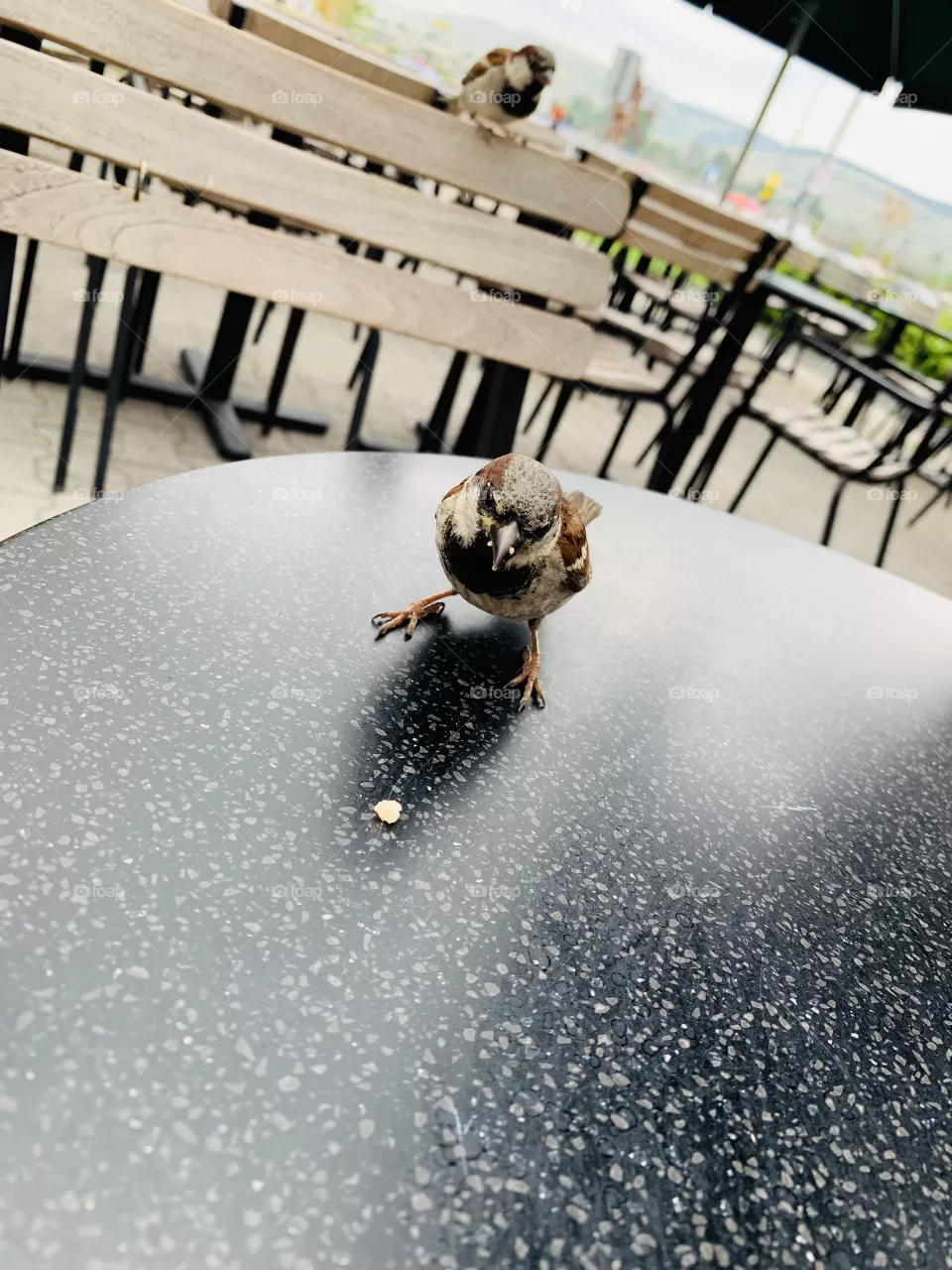 Hello there my little one 