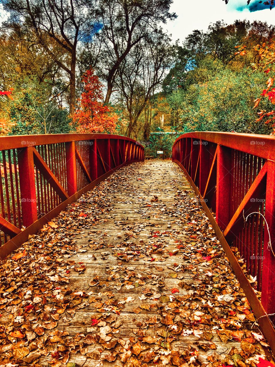 Red bridge in the fall in MI. 