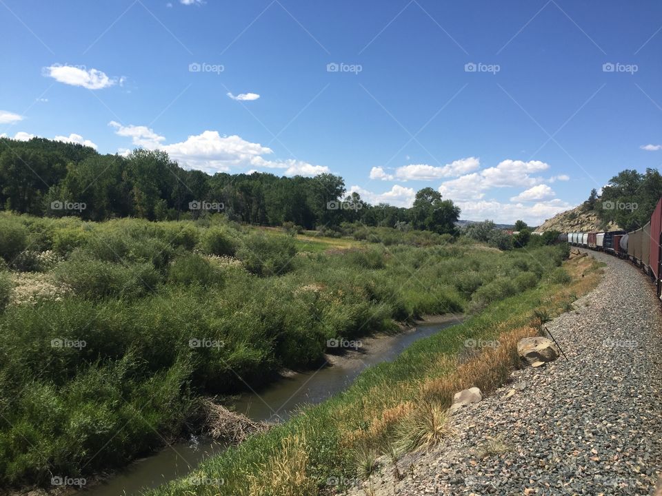 Landscape, Water, Sky, Tree, Nature