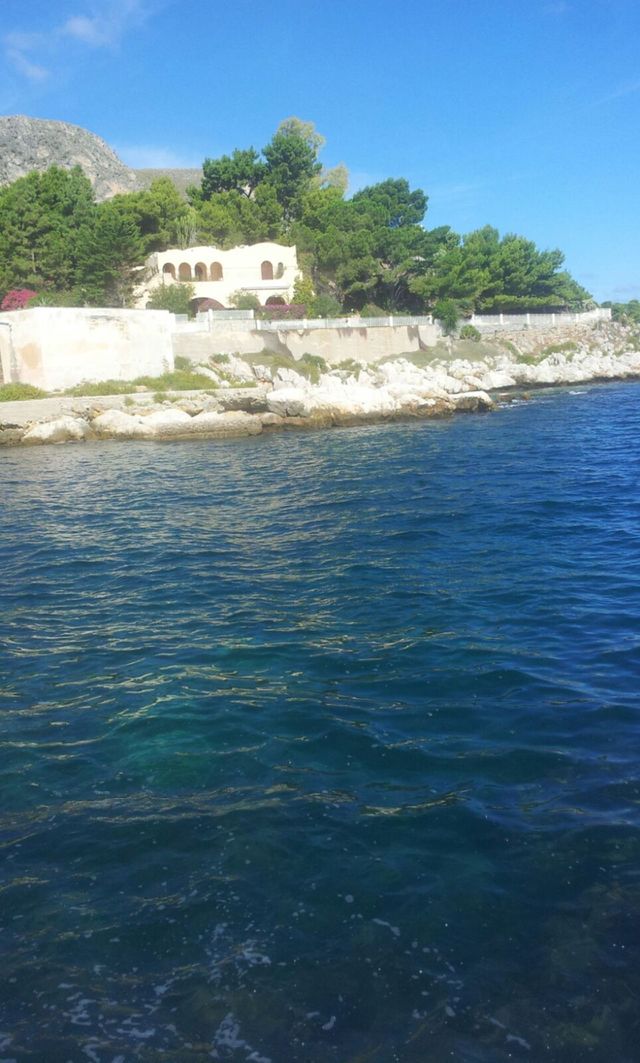 mare