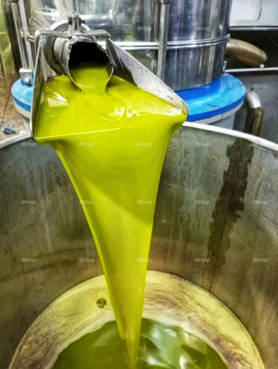 Olive oil pressed olives