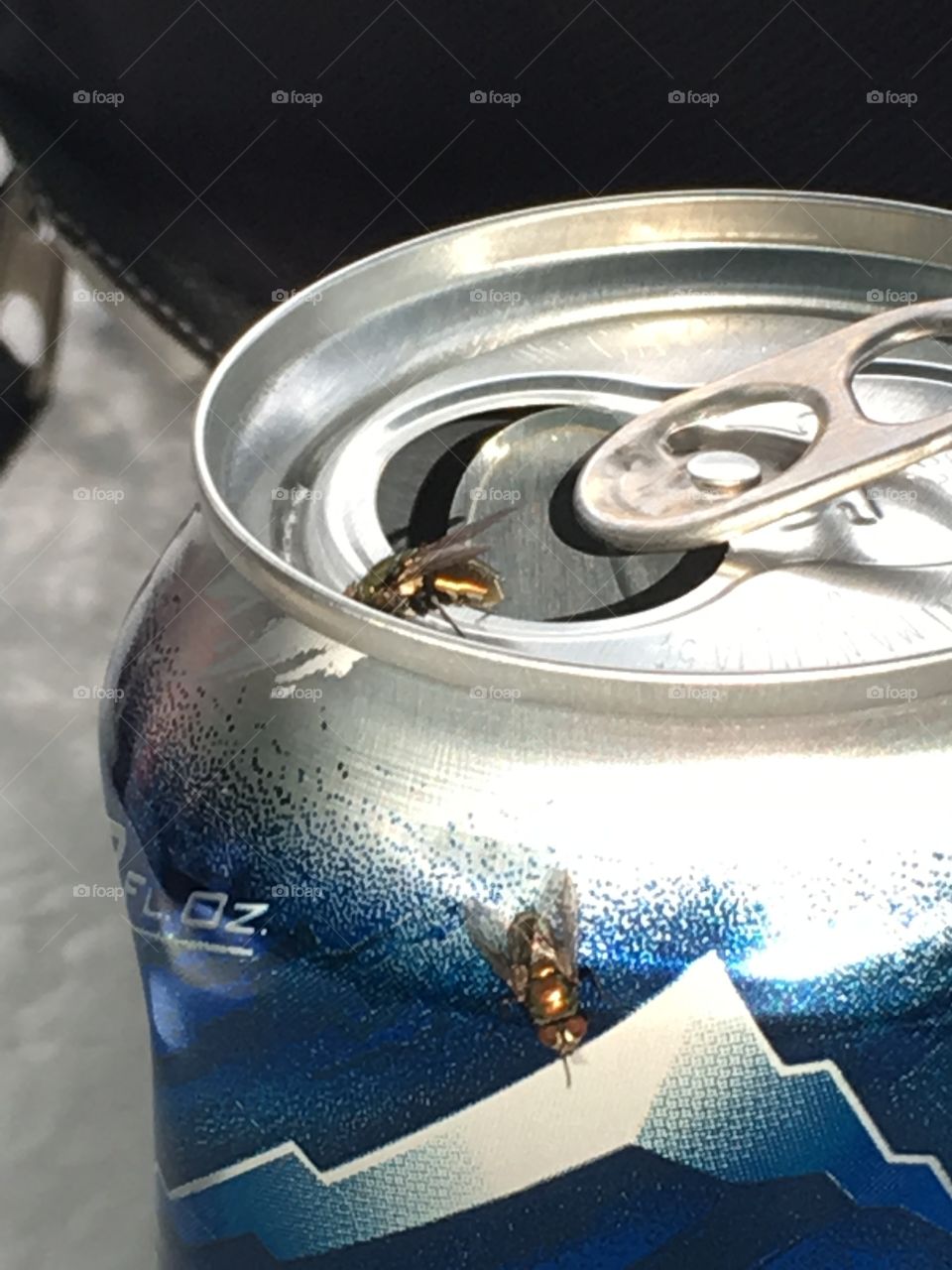 Flys on a Can