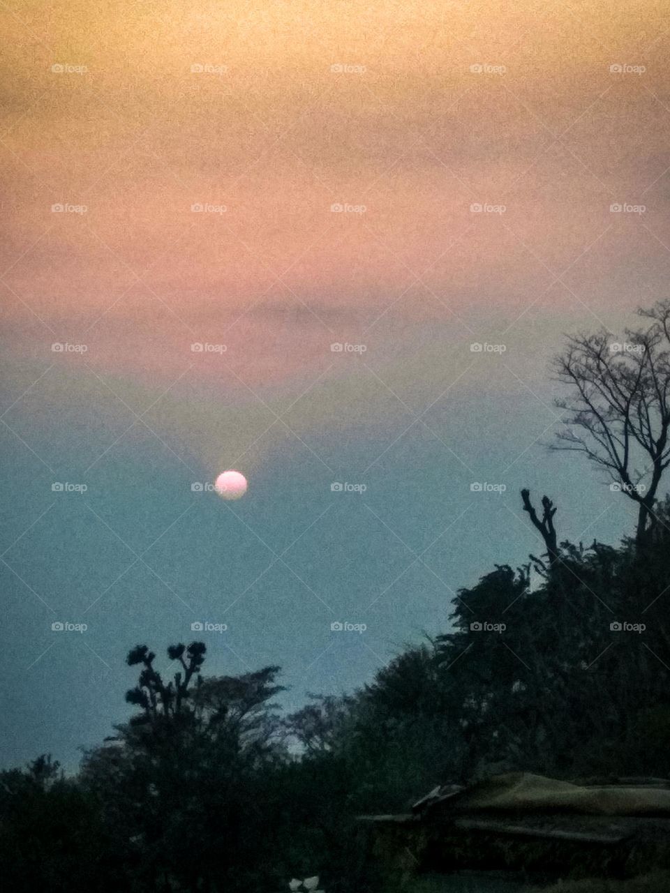 beautiful red sun in the sky.