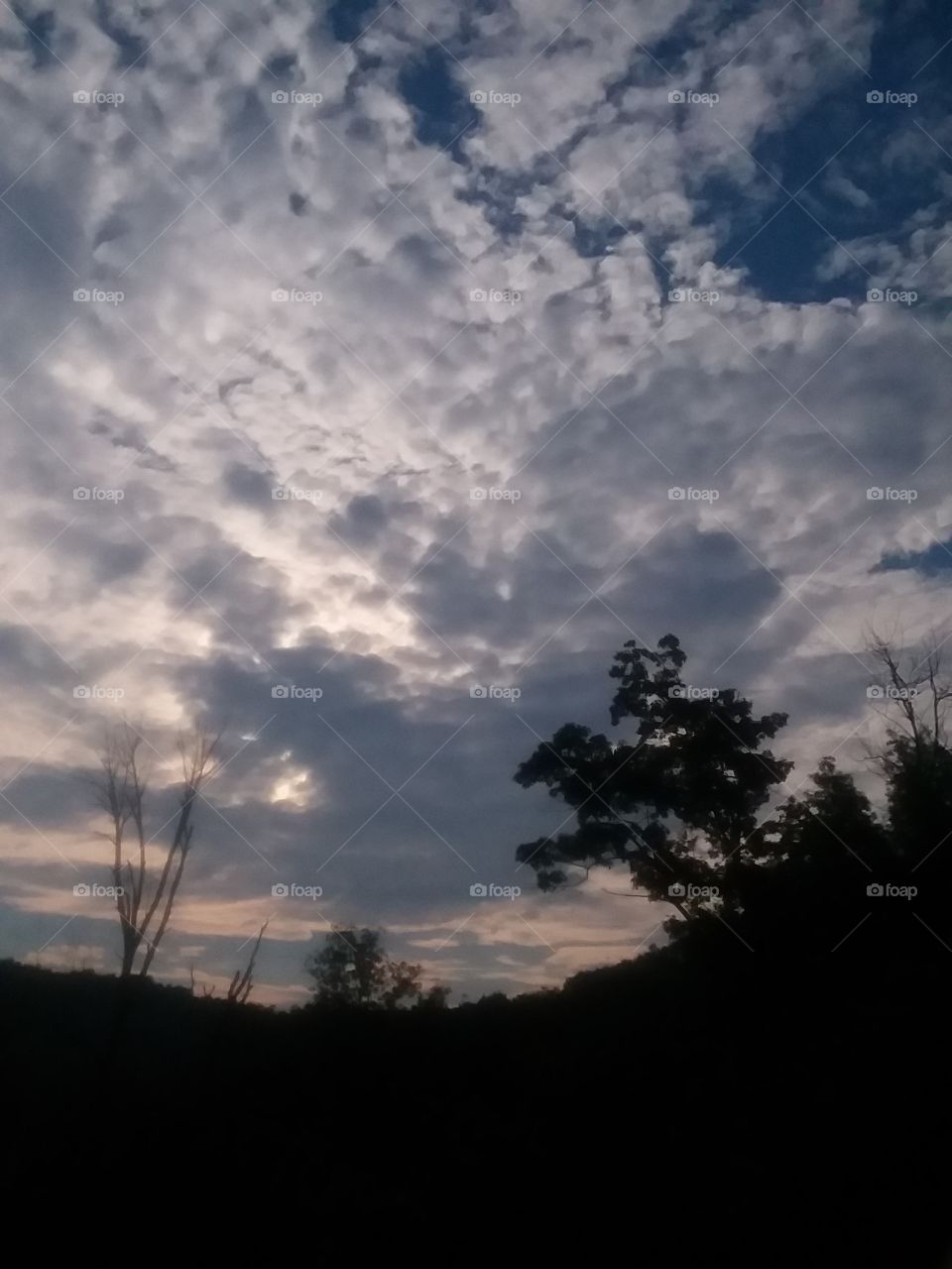 my sky