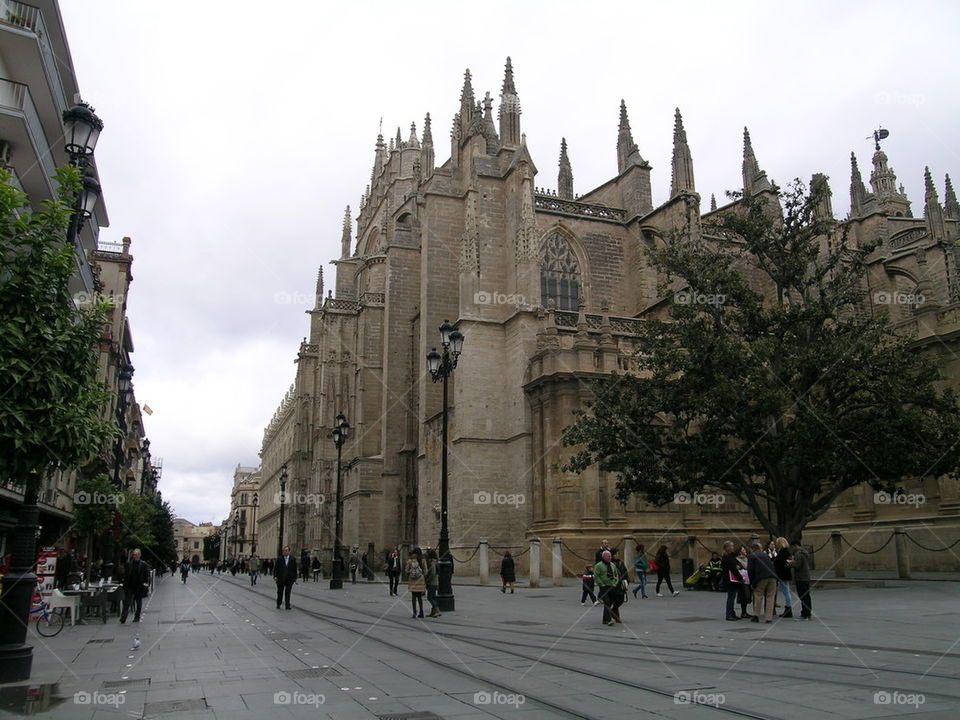 monumental cathedra sevilla