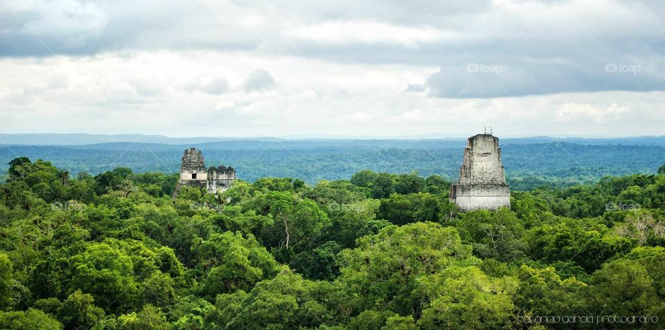 Tikal's Mayan Ruins