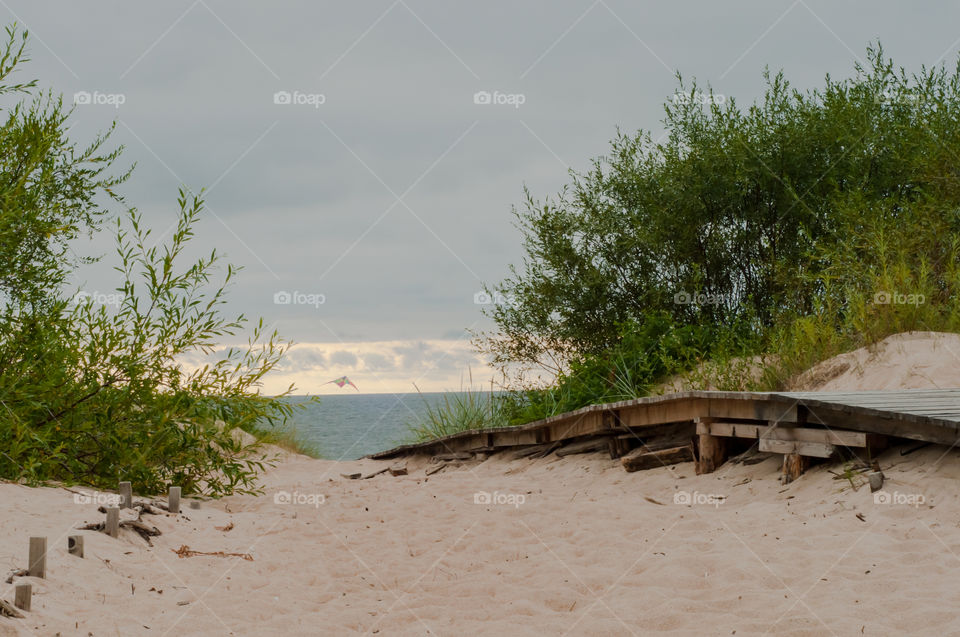 Evening in dunes 